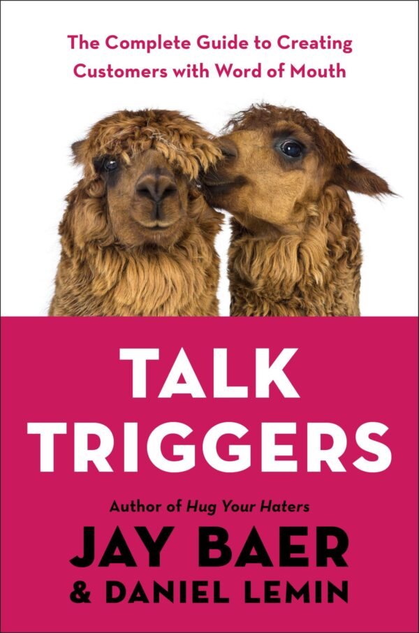 Jay Baer Talk Triggers Book Cover